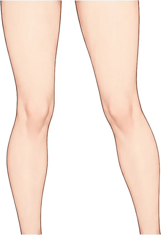 Legs Skin