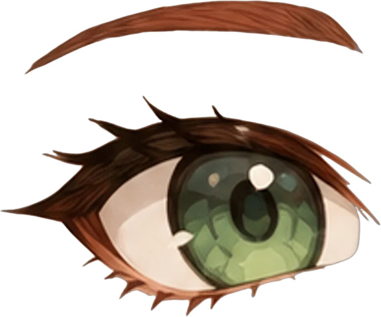 Left eye and left eyebrow